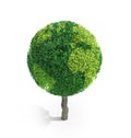World globe tree Royalty Free Stock Photo