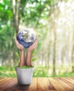 World in Hand and Blurred Beautiful Bokeh in the Garden Background. World environment and earth day with tree planting and green Royalty Free Stock Photo