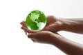 World in hands Royalty Free Stock Photo