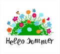 Hello Summer hand drawn lettering phrase with floral compositin on white background. Royalty Free Stock Photo