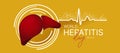 World Hepatitis Day - Liver on white circle rign sign with line heart rhythm wave and dot texture on yellow background vector