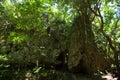 World Heritage Sefa Utaki, spiritual space in Okinawa, japan