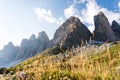 World heritage Three Peaks in the Dolomites in Italy on a sunny summer afternoon from south with grass in the foreground