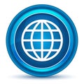 World icon eyeball blue round button Royalty Free Stock Photo