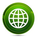 World icon glassy green round button illustration Royalty Free Stock Photo