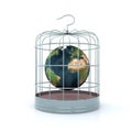 World inside the birdcage