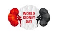 World Kidney Day background. Abstract anatomy organ. Kidneys 3D polygon style.