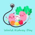 World kidney day concept