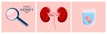 World Kidney day horizontal banner.Nephrology.Pyelonephritis and renal failure disease.