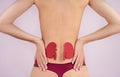 World kidney day. Loin spasm. Young woman body. Spine and kidney inflammation, pain and therapy. Woman in lingerie massaging pain