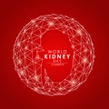 World kidney day - 12 march with line low poly kidney sign in circle Earth on red background vector design