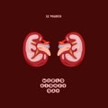World Kidney Day Poster Or Banner. Kidney care and cancer awareness concept. Urology and nephrology vector design