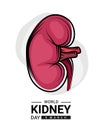 World kidney day with red human kidney outline Drawing sign vector design Royalty Free Stock Photo