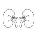 World Kidney Day. Strong healthy kidneys isolated on a white background. Vector flat icon design. The concept of a