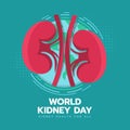 World kidney day - Two red pink kidney sign on circle globe world with line curve around on dot green texture background vector