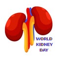 World Kidney Day. Vector isolated illustration with lettering