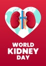 World kidney day vertical poster. International human healthy kidneys care celebration placard. Genitourinary system