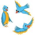 Blue Birds Vector Illustrations Set Royalty Free Stock Photo