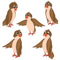 Brown Birds Vector Illustrations Set Royalty Free Stock Photo