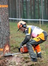 World logging championship 2012 Royalty Free Stock Photo