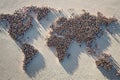 World map made of people, aerial view from above