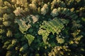 World map made of trees in forest, aerial view from above