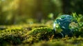 World map resting on moss in a forest - Europe and Africa - concept of the environment Royalty Free Stock Photo