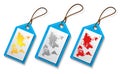 World Map on tag in various color