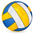 World map volleyball ball