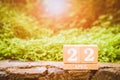 World Mother Earth day background concept. Wooden calendar with date "22 april" with green nature background