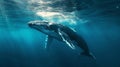 World oceans day. A Humpback Whale in Blue Water. Royalty Free Stock Photo