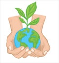 The world in the palm and new saplings on it. A sapling is growing on the earth globe. The planet earth and the growing sapling in Royalty Free Stock Photo