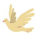 world peace day dove isolated