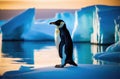 iceberg in the ocean, the kingdom of ice and snow, a lone penguin on an ice floe, the far north Royalty Free Stock Photo