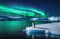 a lone adult penguin on an ice floe, the kingdom of ice and snow, an iceberg in the ocean, the far north, the Royalty Free Stock Photo