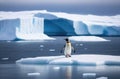 a lone adult penguin on an ice floe, the kingdom of ice and snow, an iceberg in the ocean, a lot of snow Royalty Free Stock Photo