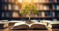 World philosophy day concept with tree of knowledge planting on opening old big book in library full with textbook stack piles of Royalty Free Stock Photo