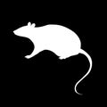 Flat vector stock illustration, white rat on the black background