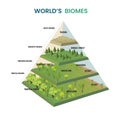 world's biomes pyramid diagram