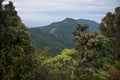 World`s End, Landscape of Horton Plains National Park.