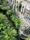 The temperate house at Kew Gardens, London Royalty Free Stock Photo