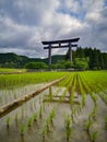 The world`s largest torii gate at the entrance of the sacred site of the Kumano Hongu Taisha on the Kumano Kodo pilgrimage trail