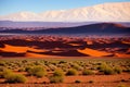 The world\'s tallest and most arid desert, the Atacama Desert, is located in the city of Sao Pedro de Atacama.