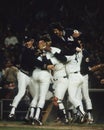 1978 World Series Champion, New York Yankees