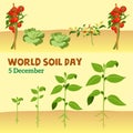 World Soil Day Graphic and Illustration