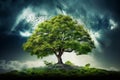 Beautiful green tree under dramatic sky