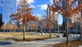 WTC Memorial Plaza, National September 11 Memorial, Manhattan, New York, United States of America.