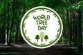 World Tree Day . Photo Forest and illustration