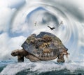World Turtle Concept Royalty Free Stock Photo