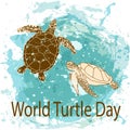 World Turtle Day concept Royalty Free Stock Photo